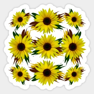 sunflower sunflowerpattern sunflowers blossoms flower floral Sticker